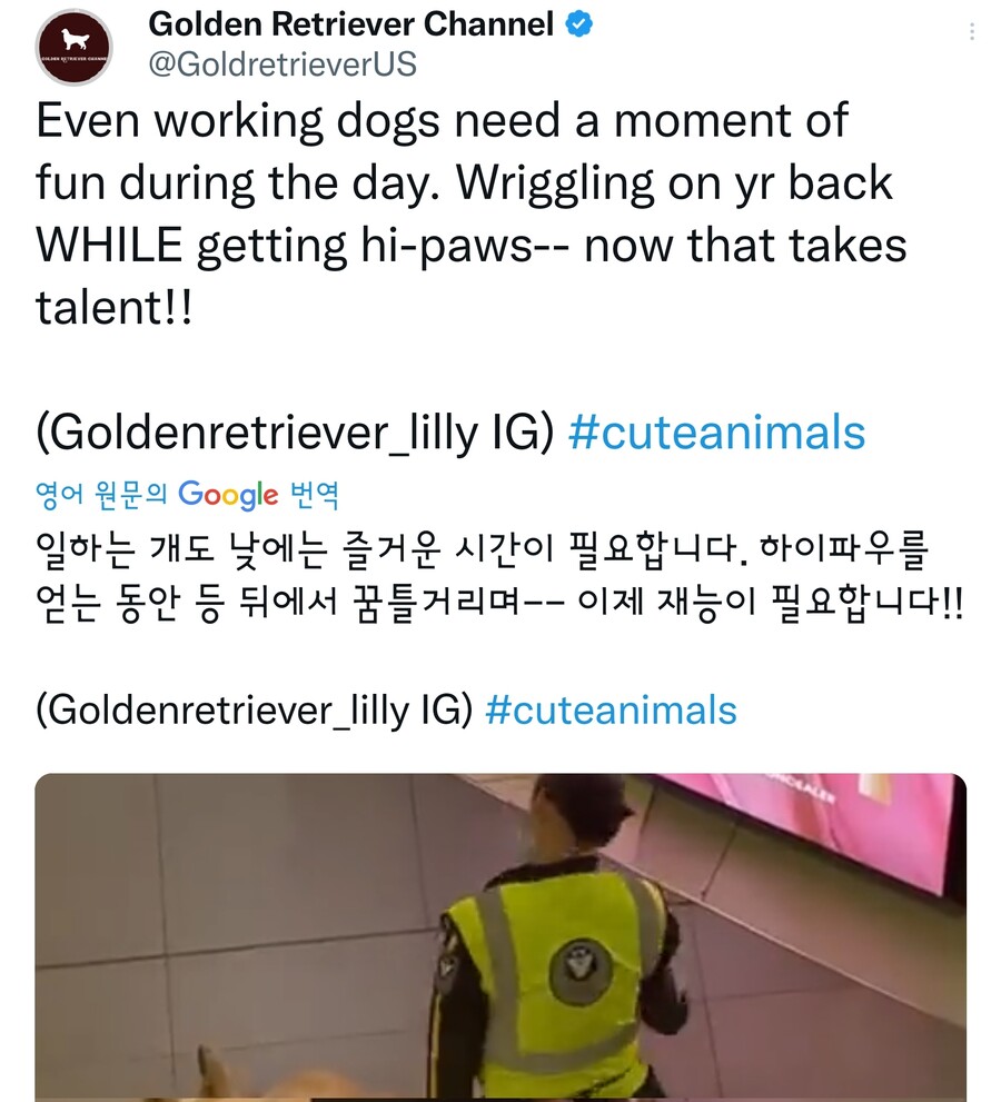 일하다 빈둥거리는 인절미.gif_1.jpg