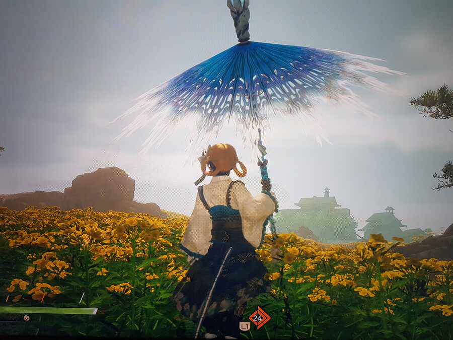 유채꽃 언덕에서..._1.jpg