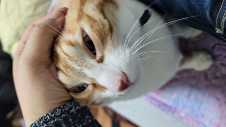 퀴즈)세계에서 제일 많이 팔린 판타지 소설은?_1.jpg