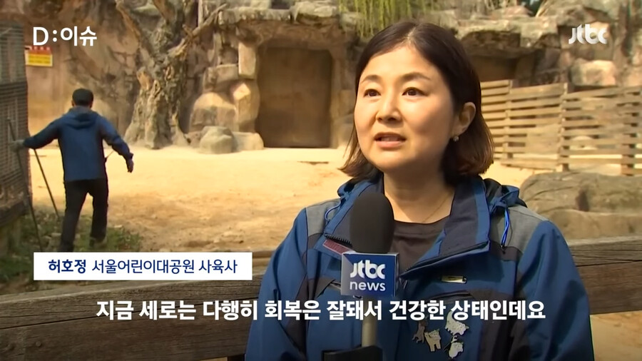 동물원 탈주했던 얼룩말딸 근황.jpg_1.png