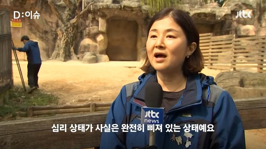 동물원 탈주했던 얼룩말딸 근황.jpg_2.png