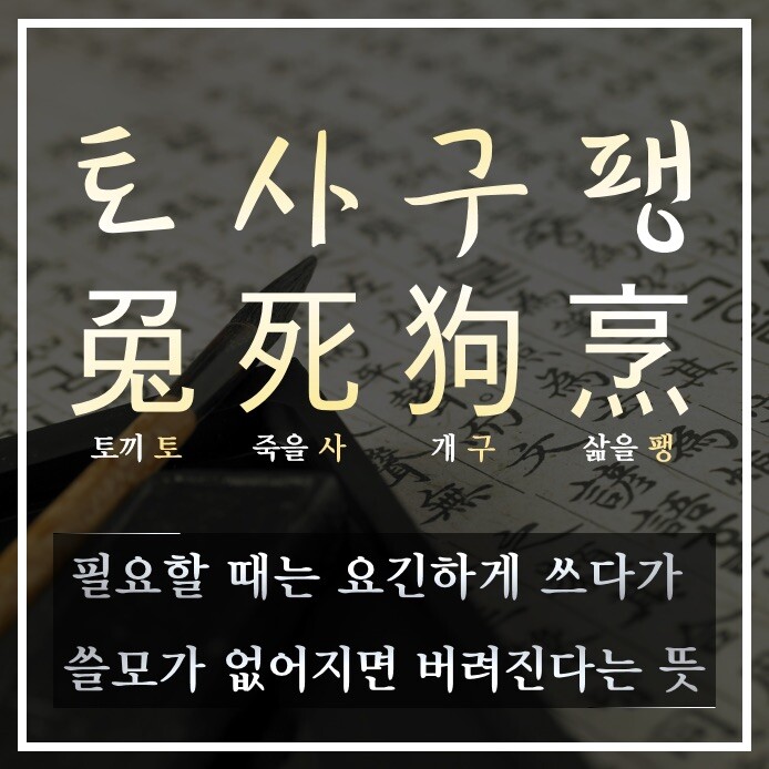 img/23/03/26/1871de2513155f27c.jpeg