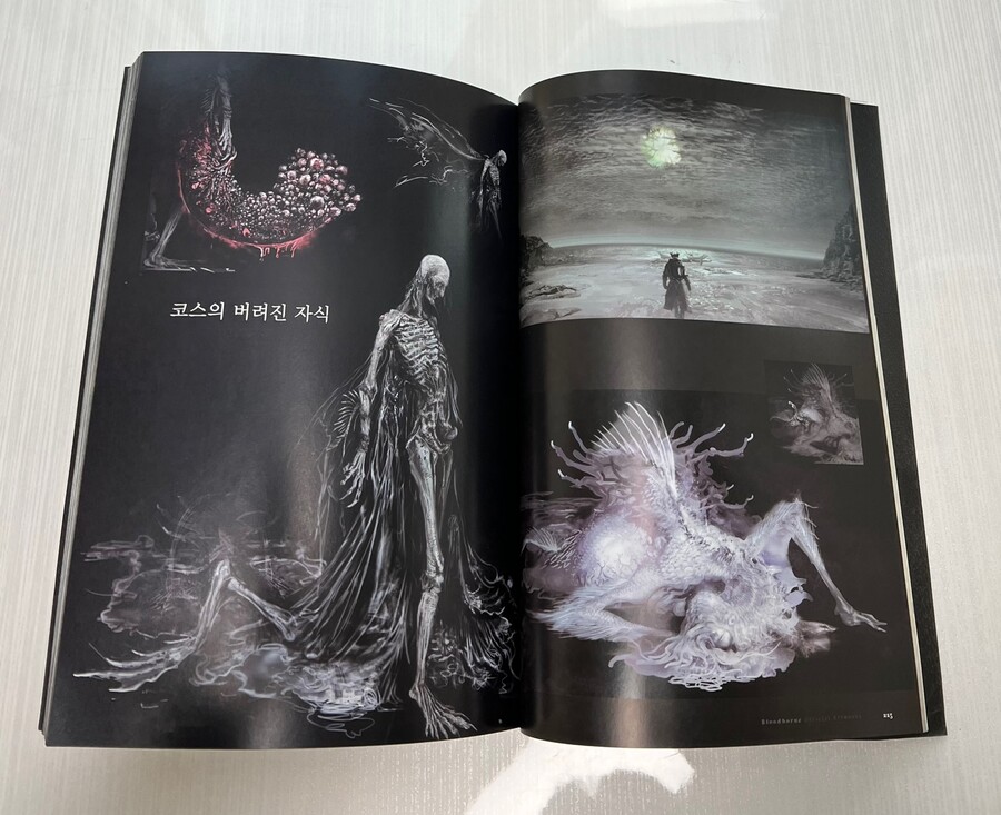 [ 스압 주의 ] 순수이성비판 그리고 계몽(Insight)_10.jpg