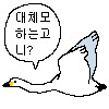 머리카락으로 만든 모자_1.png