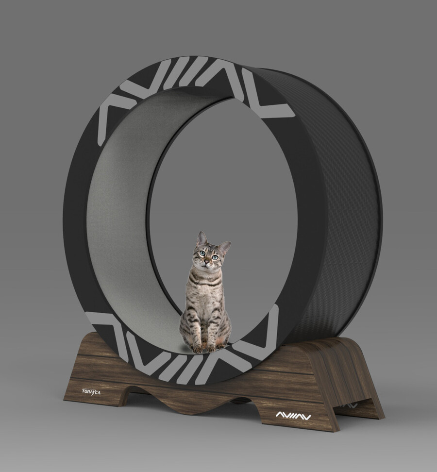 새로나온 캣 휠_2.jpeg