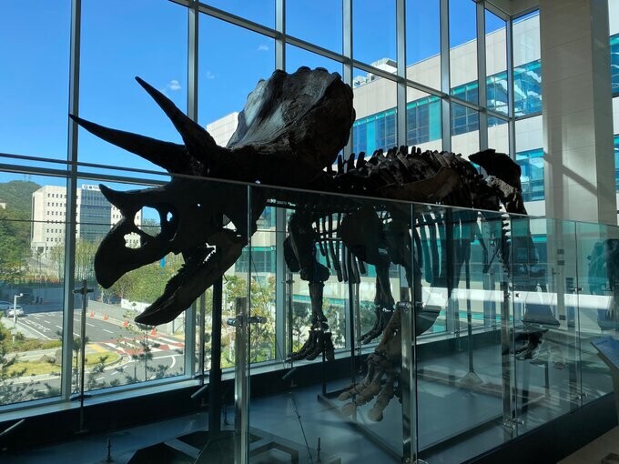 수상할 정도로 공룡(취미)에 진심인 병원_5.jpg