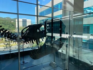 수상할 정도로 공룡(취미)에 진심인 병원_8.jpg