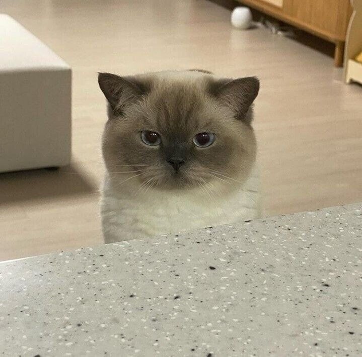 나 어제 소개팅했을때 정신적 충격이 너무 셌어_1.jpg