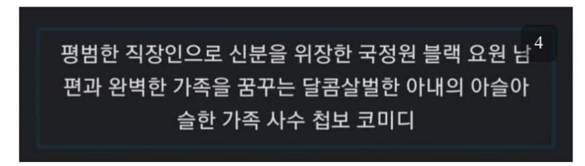 베스트에 있는 스파이 드라마 시놉시스 보니까 이거 비슷한데?_2.png