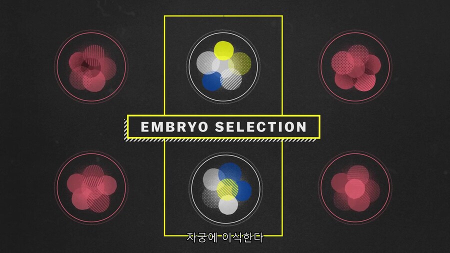 10년 뒤엔 IQ200이 평균이 될려나 ㄷㄷㄷㄷ_3.jpg