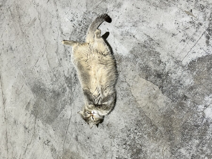눈밑이 계속 움찔거리네_1.jpeg