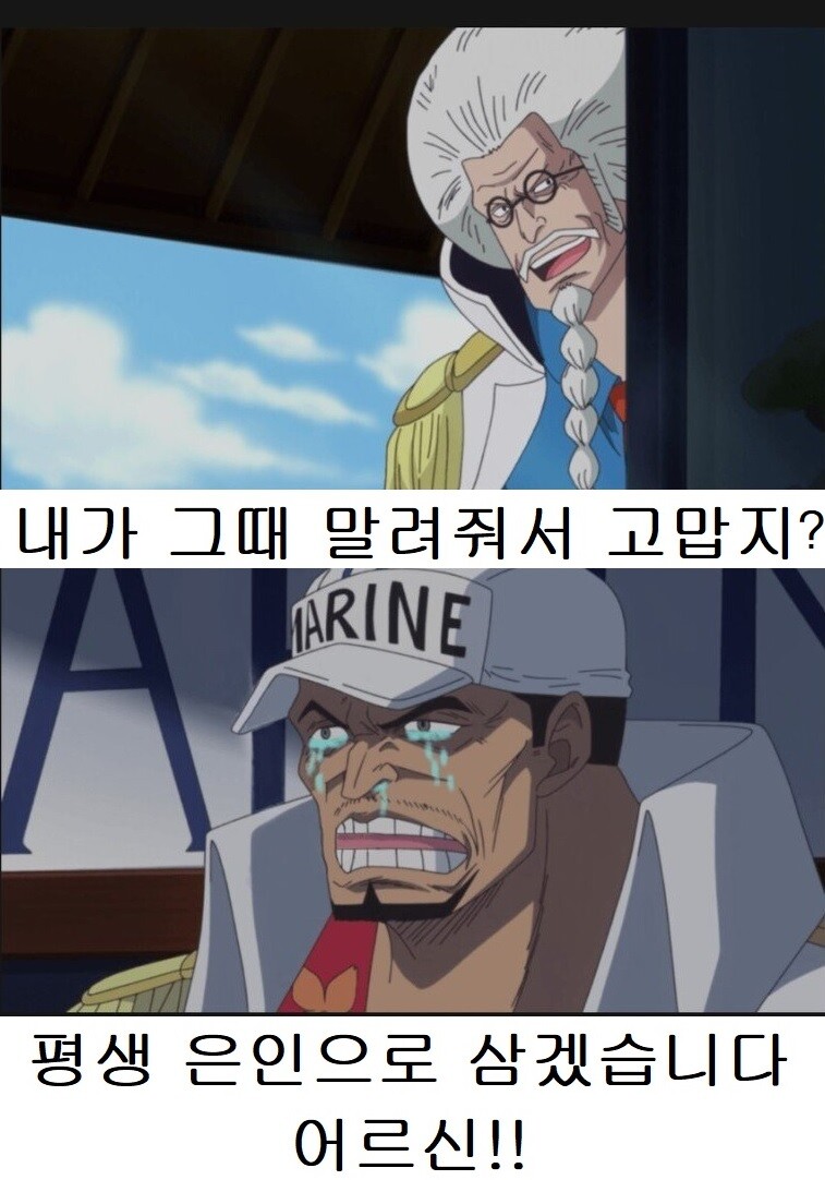 원피스 스포) 1080화이후 떡상한 캐릭 모음_5.jpeg