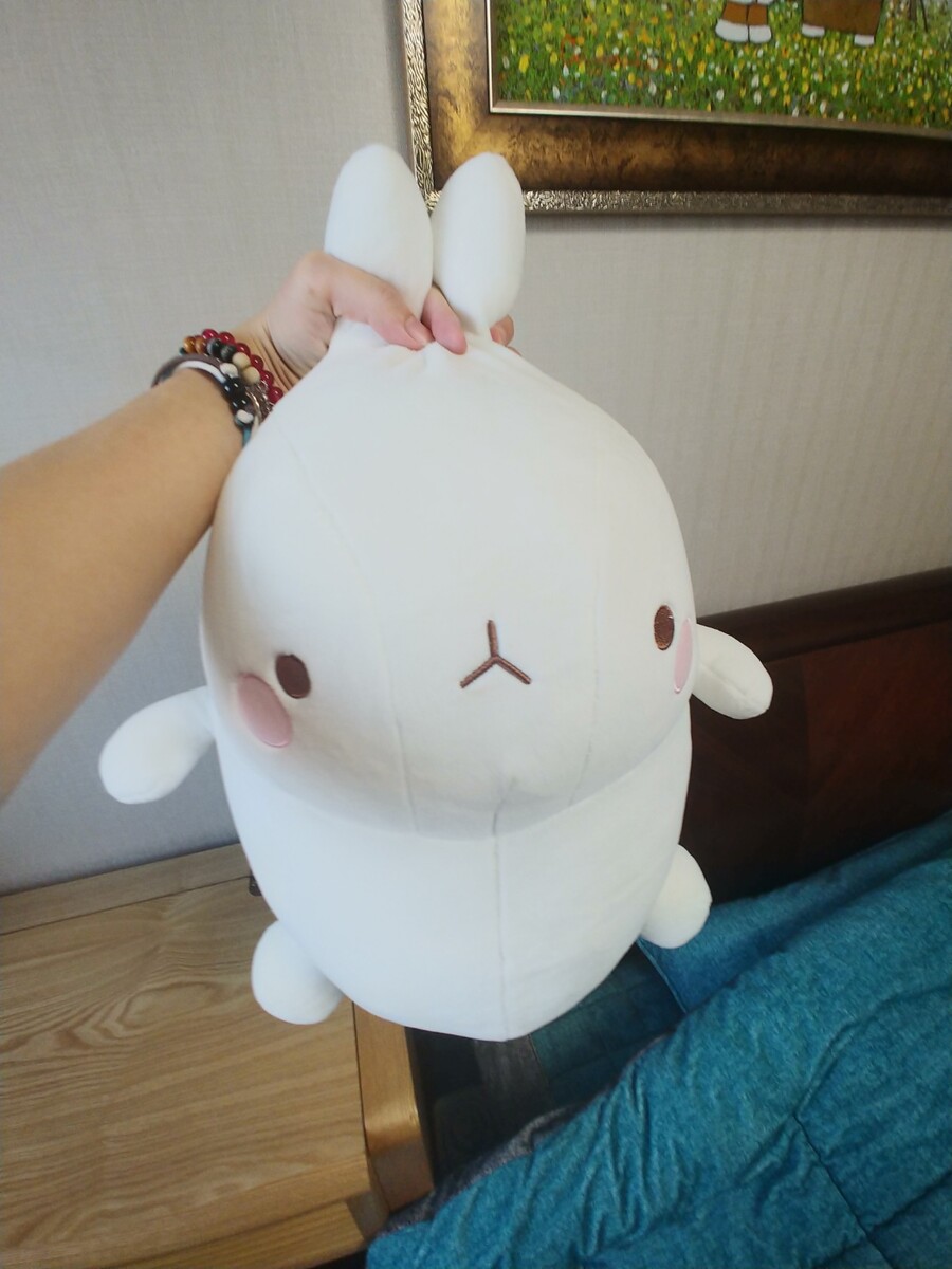 토끼(인형)를 잡는 방법_2.jpg