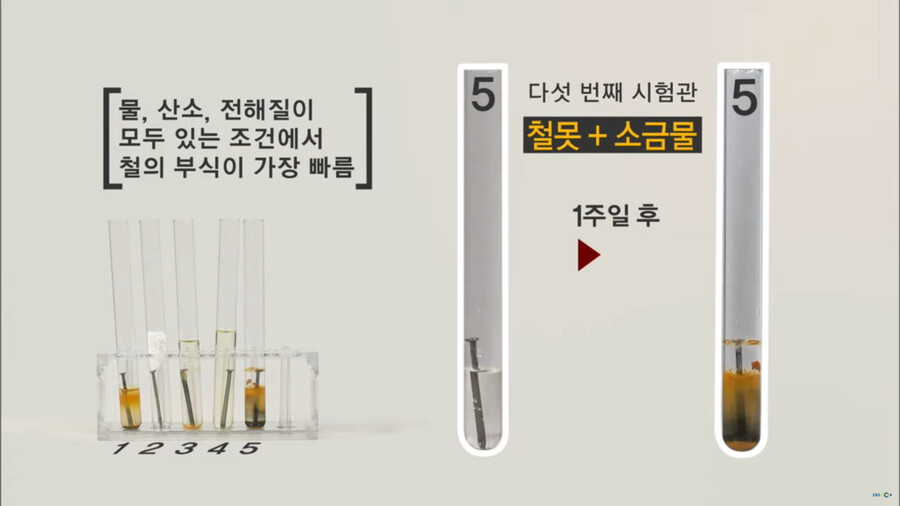 아이폰 샤워의 동료 아이폰 다이빙_2.png