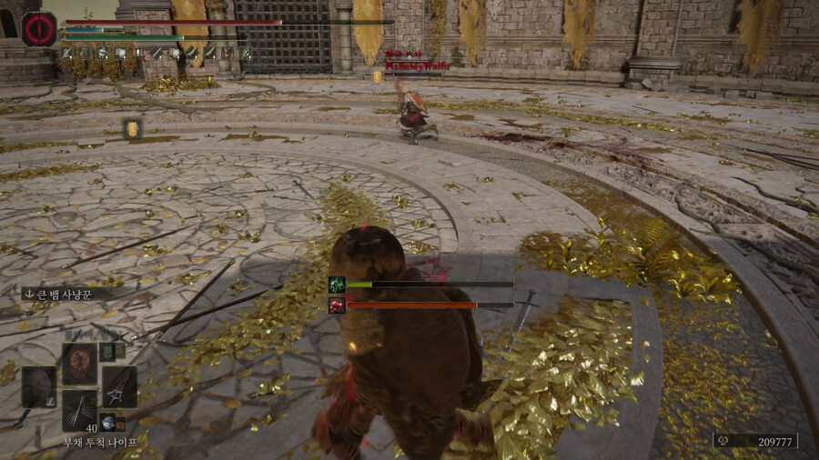 엘든링] 외국 네임드 유튜버랑 매칭됐는데 져버렸다_1.png