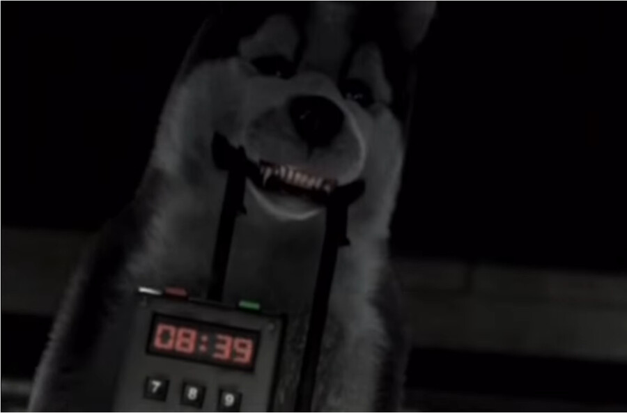 모모와 도련님의 대화 기록문- 청년기 part. 9_1.png