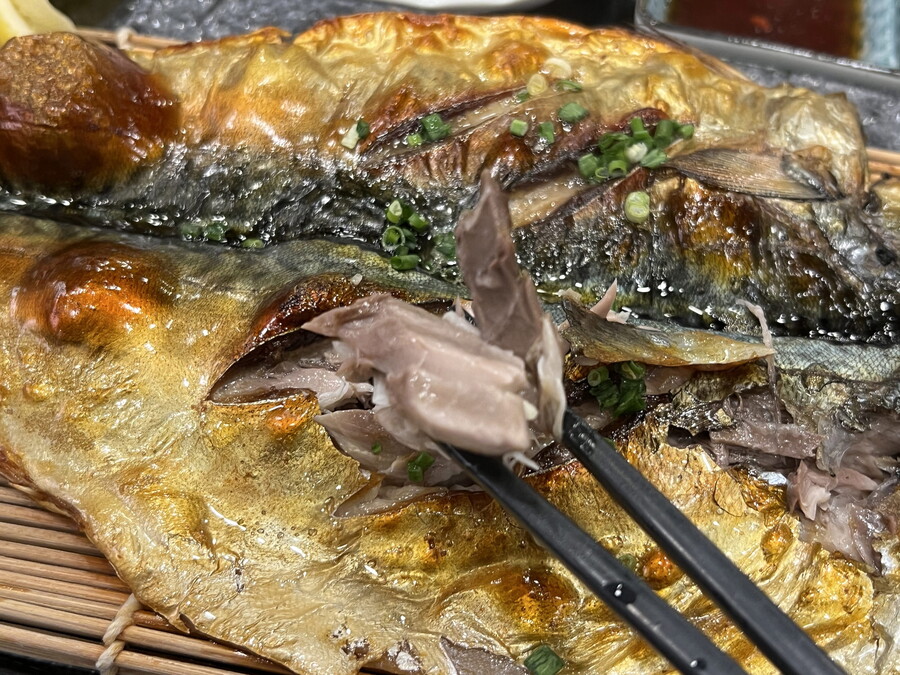 부산 사는 남자의 2022년 10~12월 먹부림. (※스압, 데이터)_180.jpg