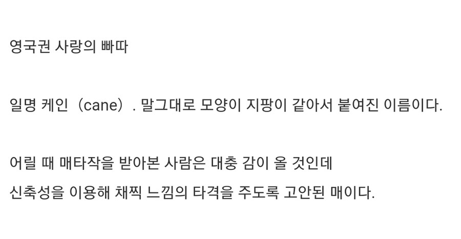 영미권에서 보인다는 "사랑의 매"_20.png