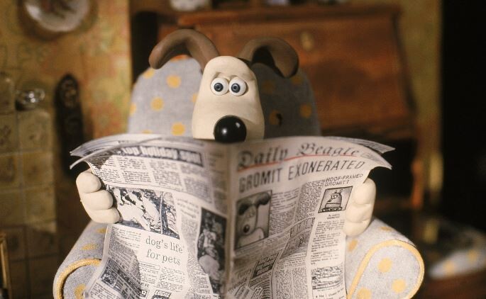 사람들이 똑똑한 개 품종에 대해 착각하는거_1.jpg