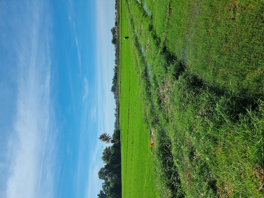 베트남 중부 남부 오토바이 여행기_40.jpg