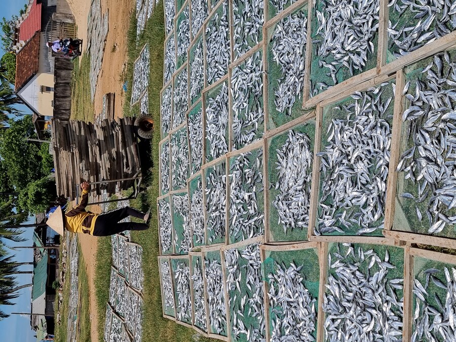 베트남 중부 남부 오토바이 여행기_53.jpg