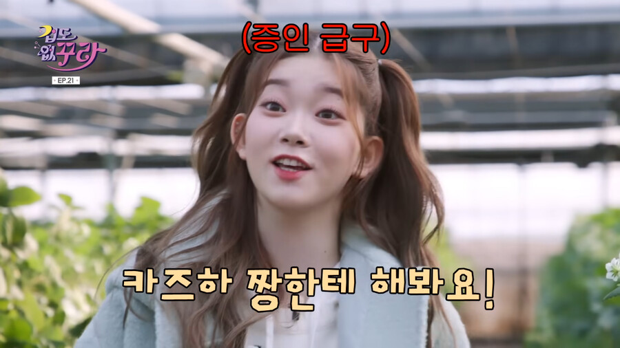 오사카 사람을 그냥 못지나친 제작진