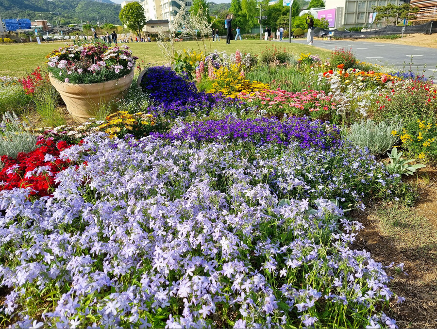 봄나들이 (스압주의)_41.png