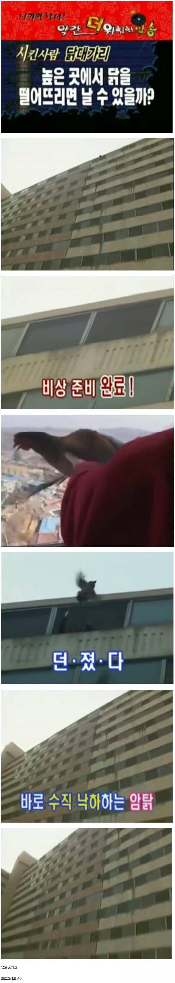 분노) 2000년대 어느 실험방송 수준.jpg_1.jpg