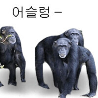 ㅇㅇㄱ) 시작된 노노제형_6.jpg