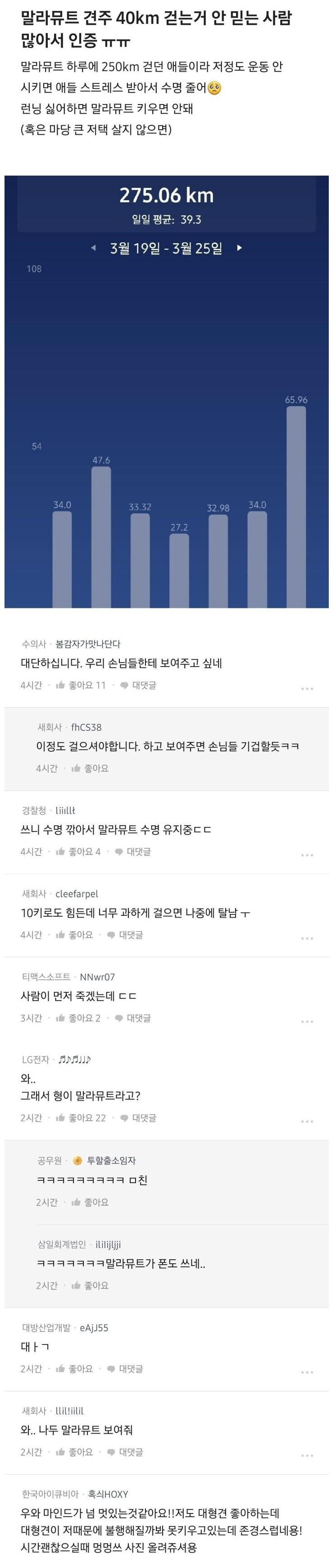 말라뮤트 견주 자격 요건.JPG_1.jpg