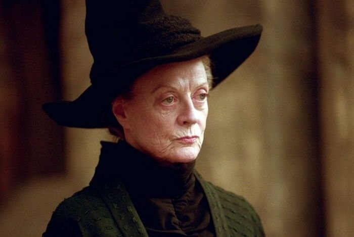 해리포터) 맥고나걸이 훌리건이 된 이유를 본편에서 짐작해보자_18.jpg