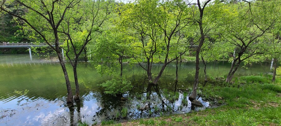 일본 여자친구와 경북,강원, 충북여행 2023년 여행_35.jpg