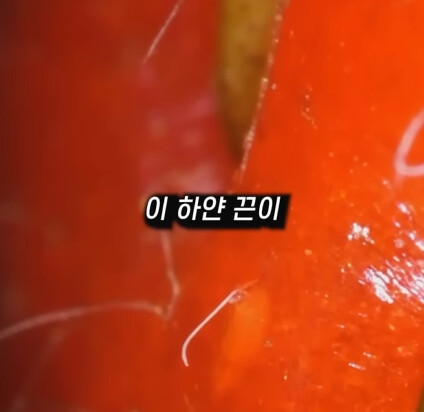 [혐] 딸기에 있는 하얀 털의 비밀_20.png