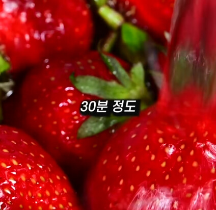 [혐] 딸기에 있는 하얀 털의 비밀_29.png