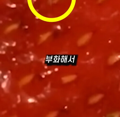 [혐] 딸기에 있는 하얀 털의 비밀_32.png