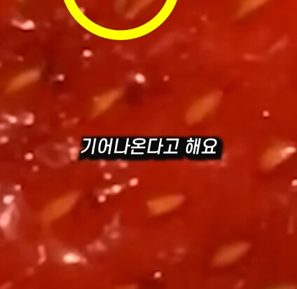 [혐] 딸기에 있는 하얀 털의 비밀_12.jpg