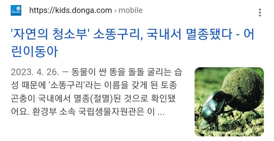 의외로 한국에서 멸종된 동물_4.jpg