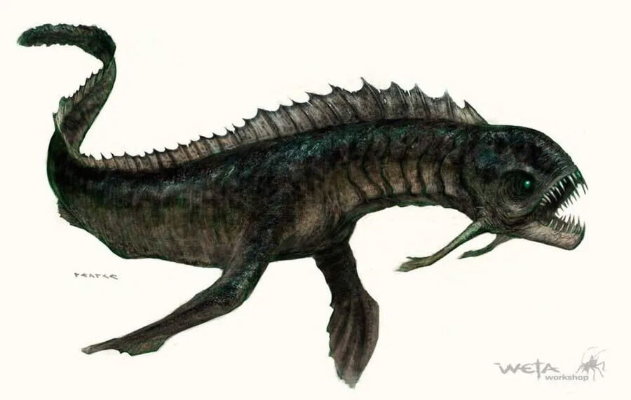 [킹콩] 해골섬의 생물군 - 어류_1.png