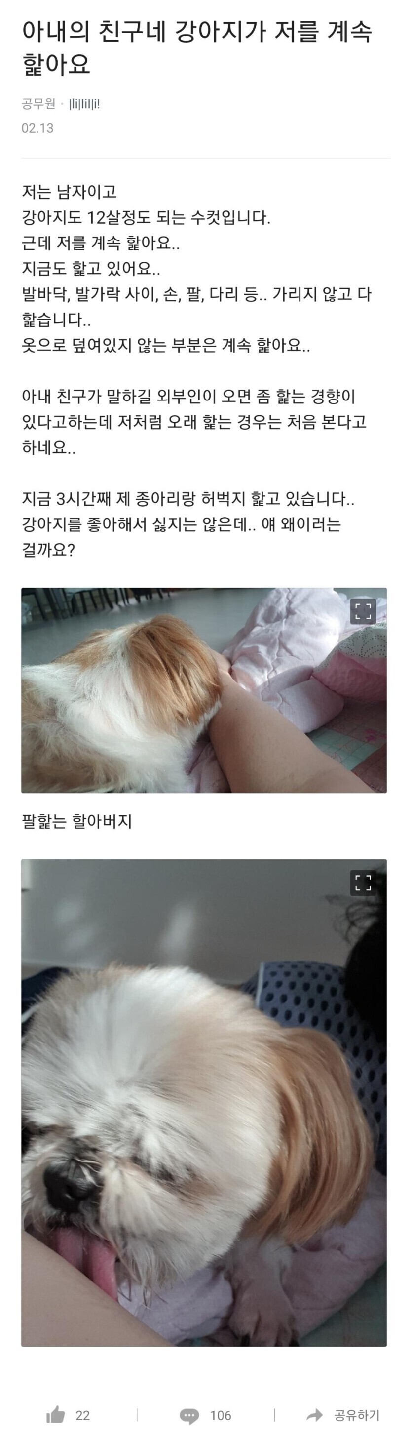 친구네 강아지가 저를 계속 핥아요.jpg_1.jpeg
