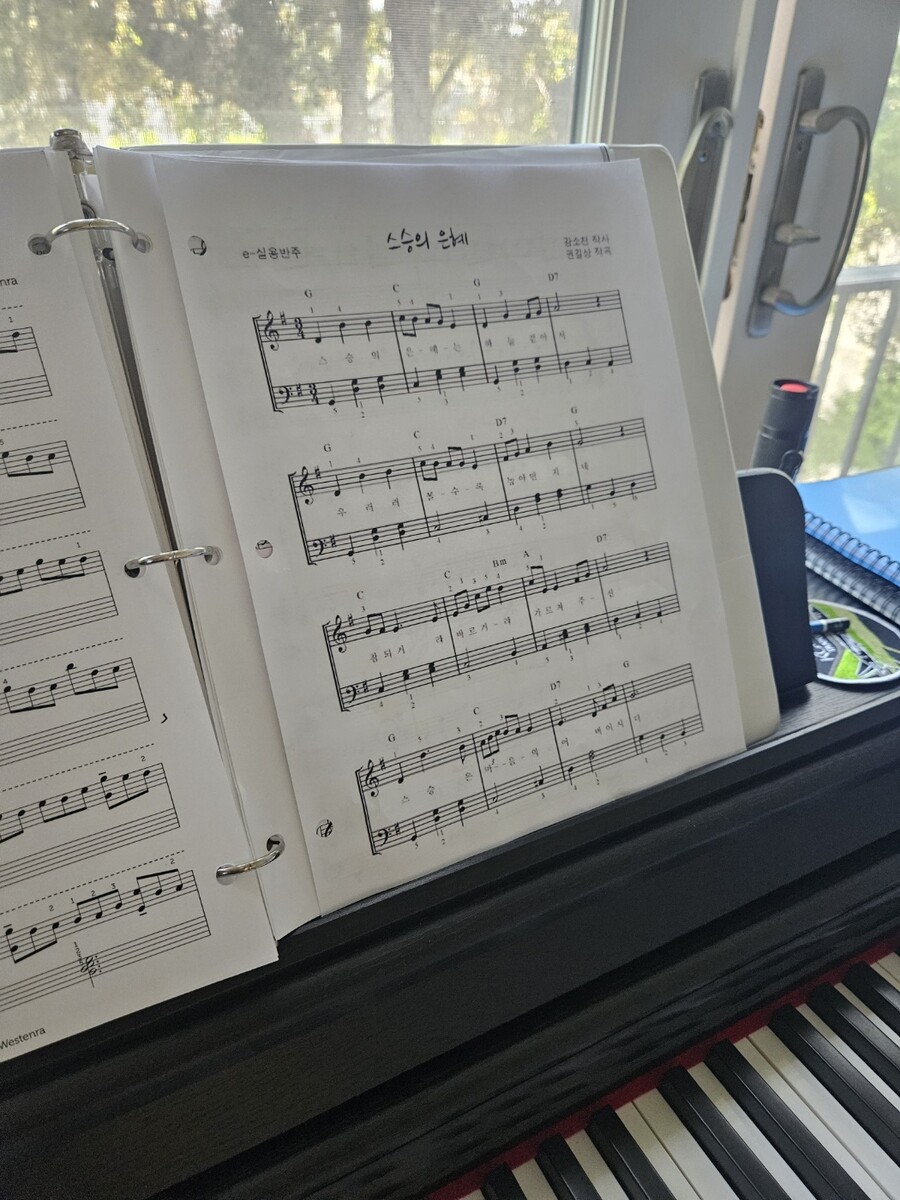 대충 해먹는 새우 토마토소스 파스타;ㅎ_4.jpg