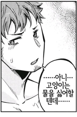 고양이가 물을 좋아하는 이유_1.png