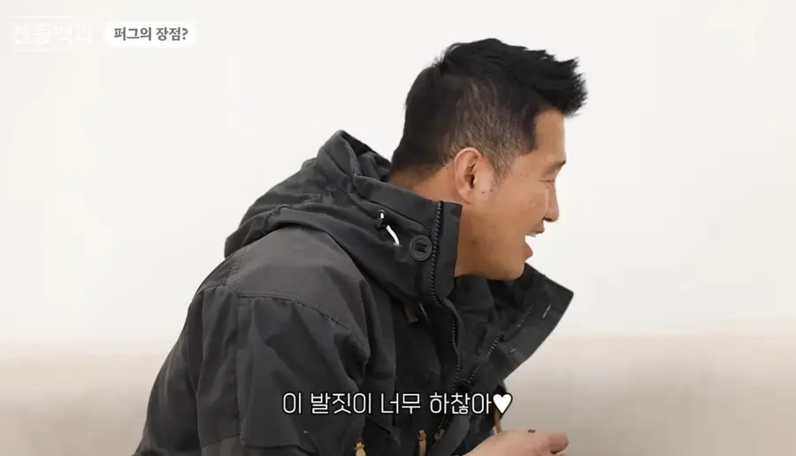 강형욱이 제발 움짤로 만들어달라고 요청한 퍼그의 귀여운 식탐_2.webp