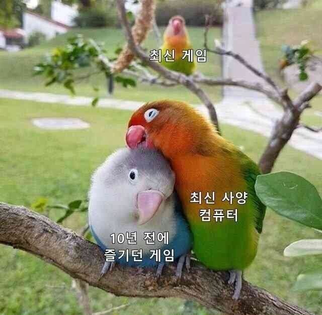 "최신"컴퓨터의 게임 특징_1.jpg