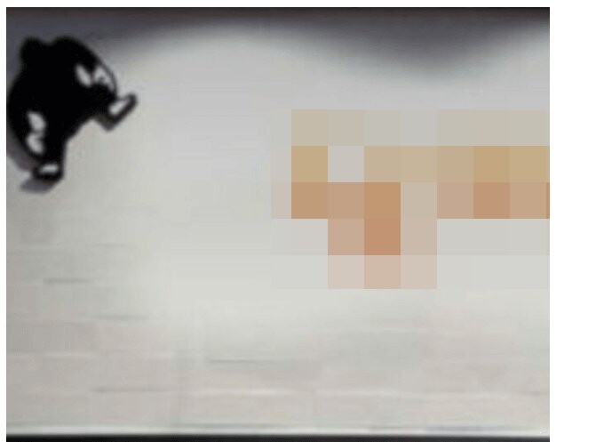 현재 너무 수상해서 방송국도 제보를 받고 있는 분식집_8.jpg