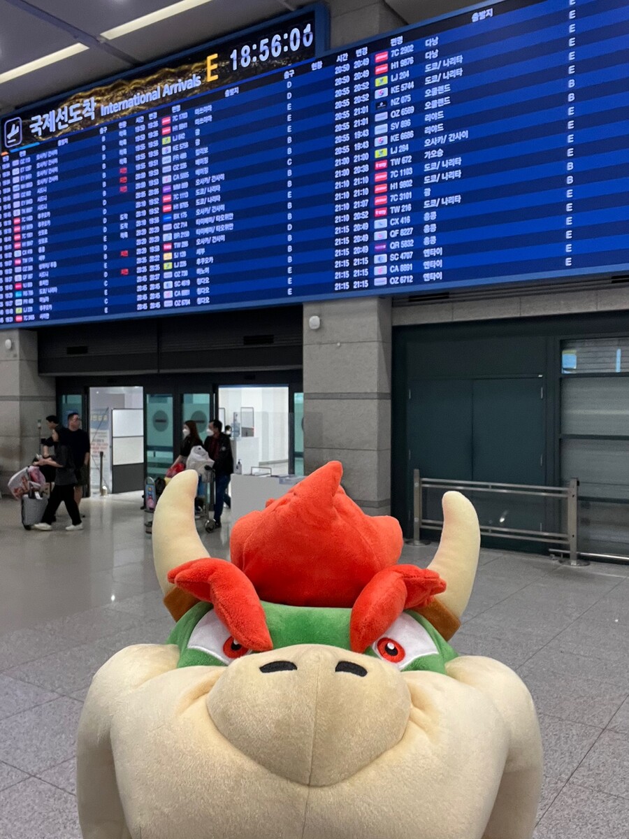 쿠파의 여행-오사카 유니버셜 스튜디오 마리오월드_9.jpg