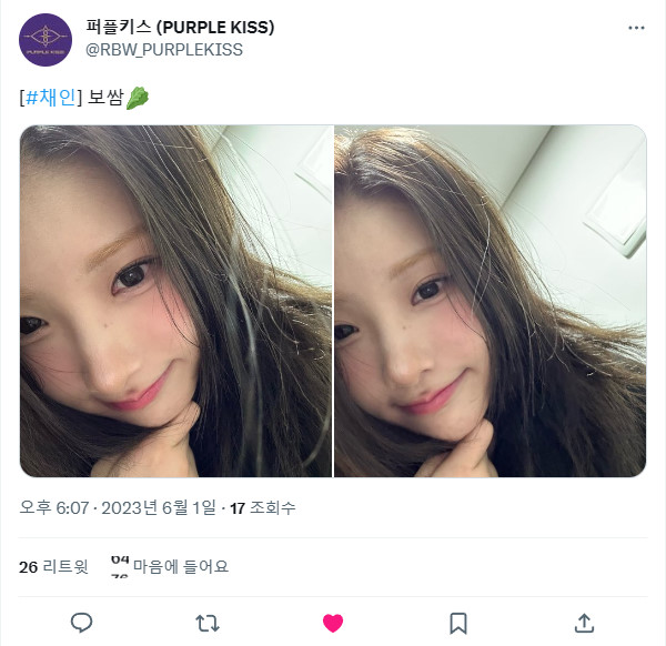 230601.트위터.채인 +.jpg