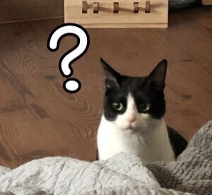 호에로펜) 이 만화는 픽션이라구요_7.jpeg