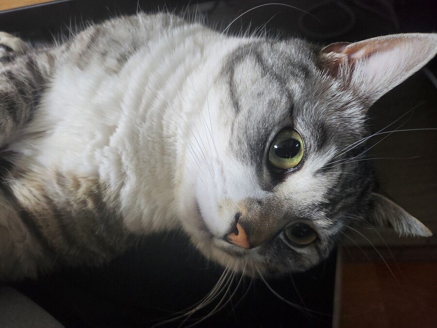 글유머)원빈씨, 가방에서 식초냄새가 나요!_4.jpg