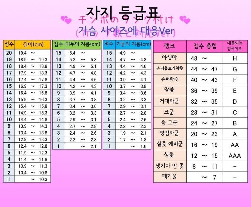 ㄲㅊ 크기 및 굵기 등급표_1.jpeg