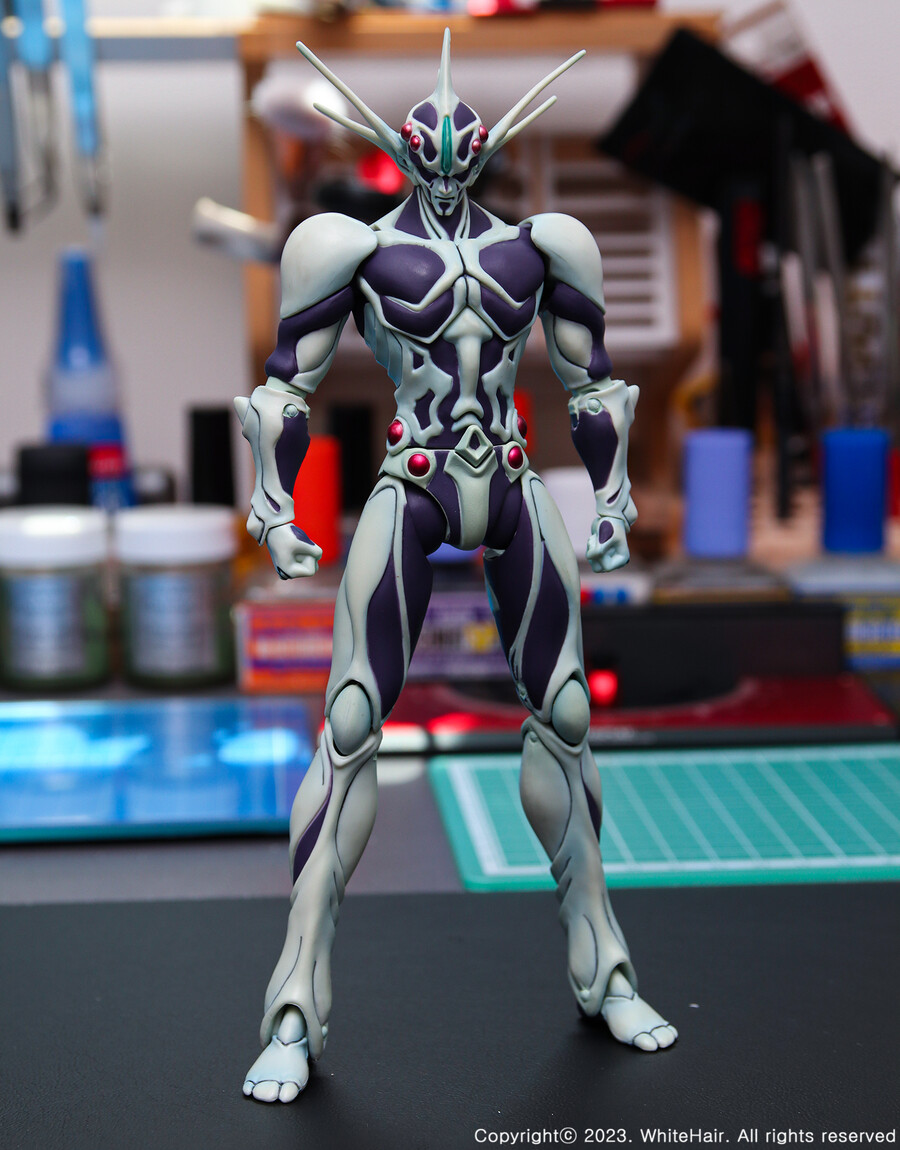 맥스팩토리 BFC 무라카미_7.jpg